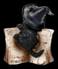 Katzen Figur Mit Zauberbuch - Kitty's Grimoire Rot -Modell Und Figurengeschäft 2D FS24120 Katzen Figur mit Zauberbuch Kittys Grimoire rot 3 1280x1280