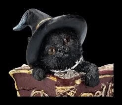 Katzen Figur Mit Zauberbuch - Kitty's Grimoire Rot -Modell Und Figurengeschäft 2D FS24120 Katzen Figur mit Zauberbuch Kittys Grimoire rot 8 1280x1280