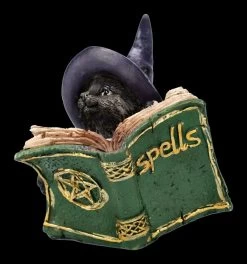 Katzen Figur Mit Zauberbuch - Kitty's Grimoire Grün 12 Katzen Figur Mit Zauberbuch - Kitty's Grimoire Grün -Modell Und Figurengeschäft 2D FS24121 Katzen Figur mit Zauberbuch Kittys Grimoire grun 1 1280x1280