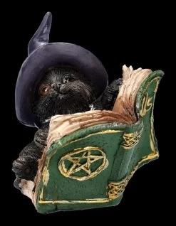 Katzen Figur Mit Zauberbuch - Kitty's Grimoire Grün