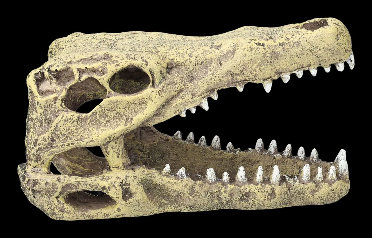 Aquarium Figur - Krokodilkopf M 5 Aquarium Figur - Krokodilkopf M – Bild 5