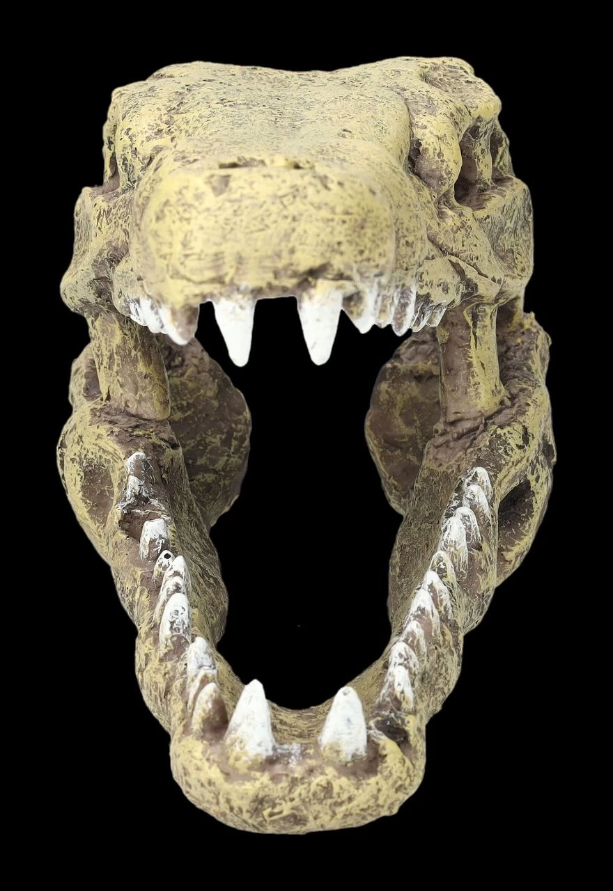 Aquarium Figur - Krokodilkopf M 4 Aquarium Figur - Krokodilkopf M – Bild 4