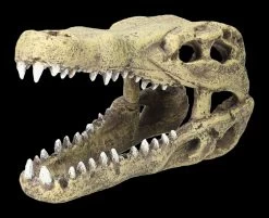 Aquarium Figur - Krokodilkopf M 8 Aquarium Figur - Krokodilkopf M -Modell Und Figurengeschäft 2D FS24144 Aquarium Figur Krokodilkopf M 7 1280x1280