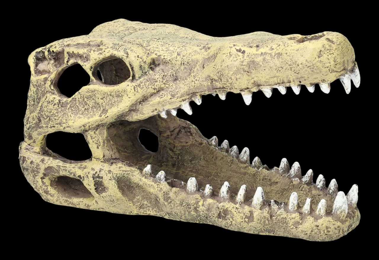 Aquarium Figur - Krokodilkopf M 1 Aquarium Figur - Krokodilkopf M