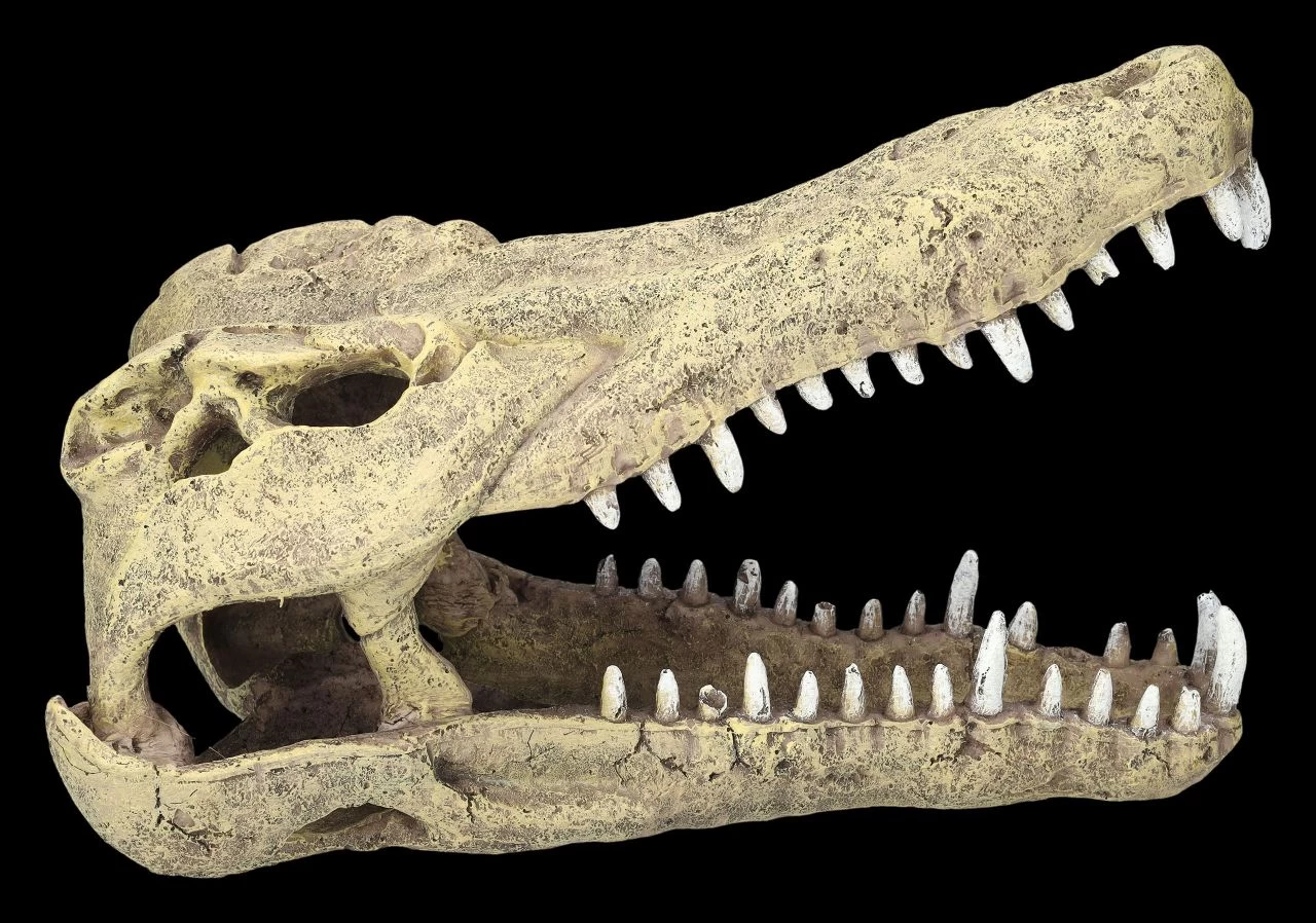 Aquarium Figur - Krokodilkopf L 5 Aquarium Figur - Krokodilkopf L – Bild 5