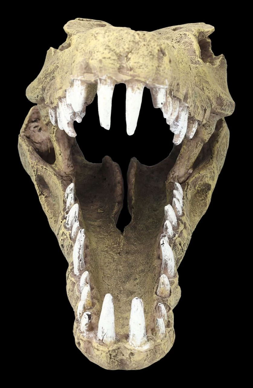 Aquarium Figur - Krokodilkopf L 4 Aquarium Figur - Krokodilkopf L – Bild 4