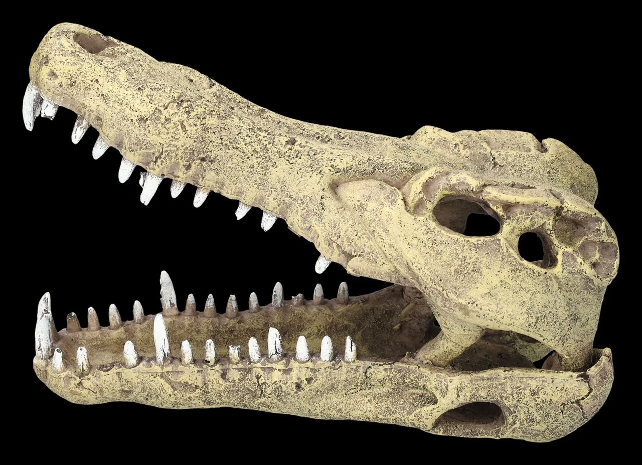 Aquarium Figur - Krokodilkopf L 2 Aquarium Figur - Krokodilkopf L – Bild 2