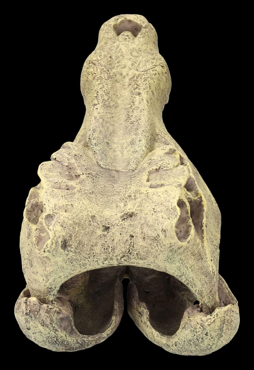 Aquarium Figur - Krokodilkopf L 6 Aquarium Figur - Krokodilkopf L – Bild 6