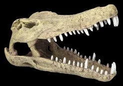 Aquarium Figur - Krokodilkopf L