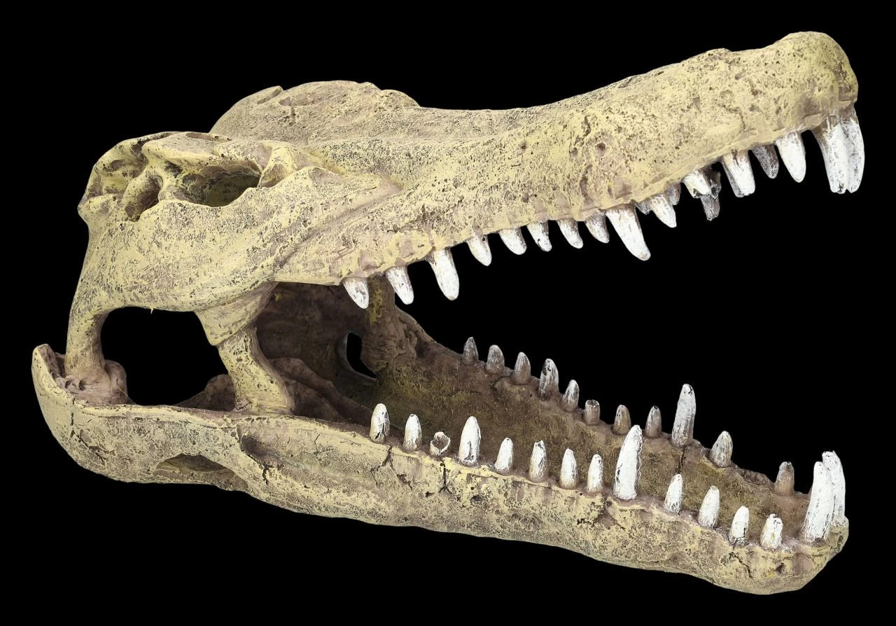 Aquarium Figur - Krokodilkopf L 1 Aquarium Figur - Krokodilkopf L