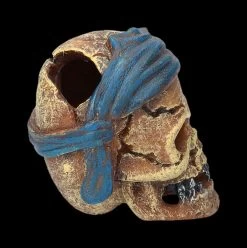 Aquarium Figur - Totenkopf Pirat Mit Tuch 11 Aquarium Figur - Totenkopf Pirat Mit Tuch -Modell Und Figurengeschäft 2D FS24149 Aquarium FigurPriat mit Tuch 4 1280x1280