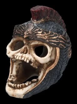 Aquarium Figur - Totenkopf Römer L 9 Aquarium Figur - Totenkopf Römer L -Modell Und Figurengeschäft 2D FS24165 Aquarium Figur Totenkopf Romer L 6 1280x1280