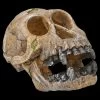 Aquarium Figur - Totenkopf Schimpanse