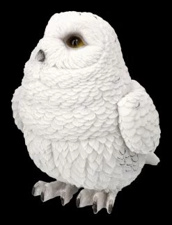 Schneeeulen Figur - Süßes Baby 9 Schneeeulen Figur - Süßes Baby -Modell Und Figurengeschäft 2D FS24643 Schneeeulen Figur S sses Baby 7 1280x1280