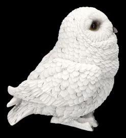 Schneeeulen Figur - Süßes Baby 12 Schneeeulen Figur - Süßes Baby -Modell Und Figurengeschäft 2D FS24643 Schneeeulen Figur Susses Baby 5 1280x1280