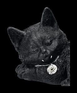 Katzenfigur Mit Flügeln - Cat Nap -Modell Und Figurengeschäft 2D FS24702 Katzenfigur mit Flugeln Cat Nap 8 1280x1280