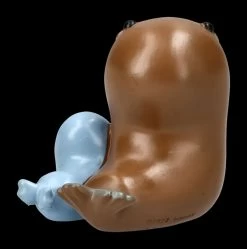 Furrybones Figur - Walross Utchi -Modell Und Figurengeschäft 2D FS24729 Furrybones Figur Walrus 4 1280x1280