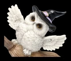 Eulen Figur Reitet Auf Hexenbesen 13 Eulen Figur Reitet Auf Hexenbesen -Modell Und Figurengeschäft 2D FS24898 Eulen Figur reitet auf Hexenbesen 2 1280x1280