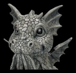 Garten Figur - Drache Trägt Katze -Modell Und Figurengeschäft 2D FS25030 Garten Figur Drache tr gt Katze 7 1280x1280