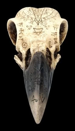Totenkopf - Rabenschädel Mit Mytischen Symbolen 9 Totenkopf - Rabenschädel Mit Mytischen Symbolen -Modell Und Figurengeschäft 2D FS25098 Totenkopf Rabensch del mit mystischen Symbolen 1 1280x1280