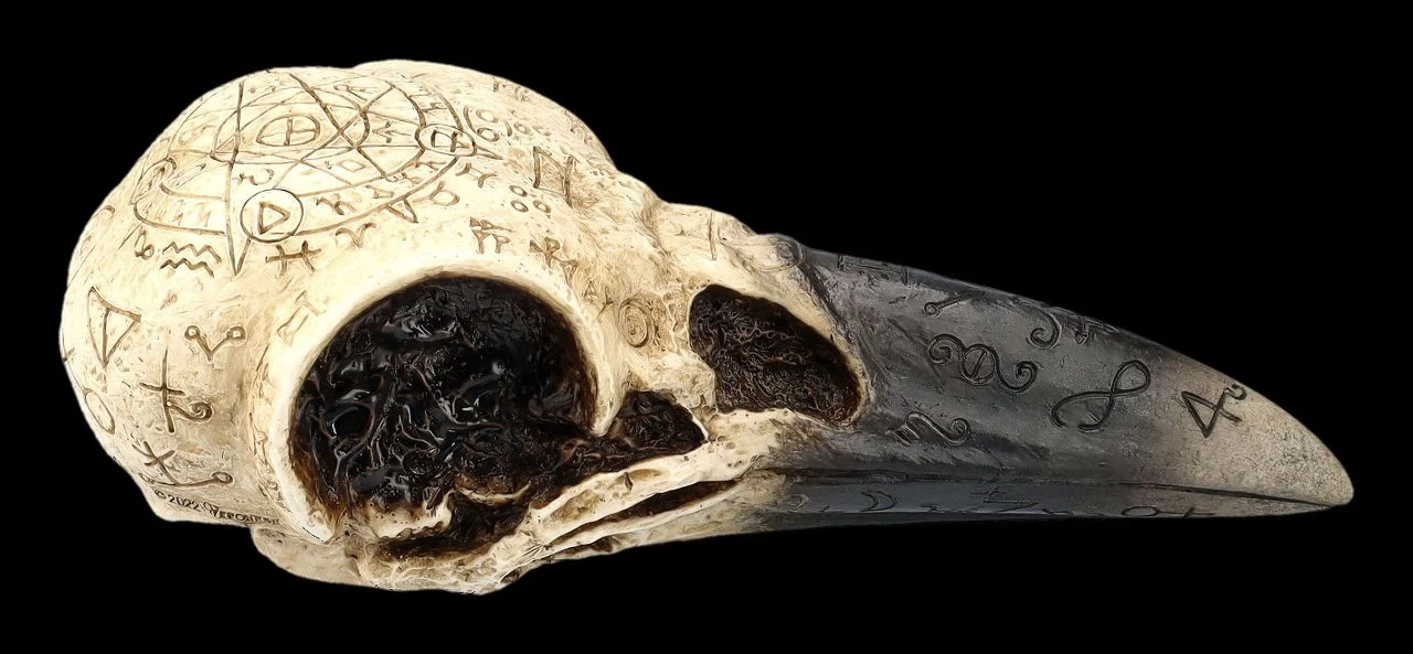 Totenkopf - Rabenschädel Mit Mytischen Symbolen 2 Totenkopf - Rabenschädel Mit Mytischen Symbolen – Bild 2