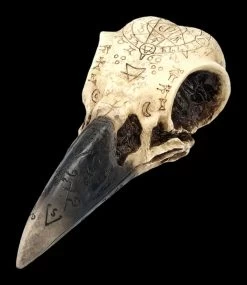 Totenkopf - Rabenschädel Mit Mytischen Symbolen 13 Totenkopf - Rabenschädel Mit Mytischen Symbolen -Modell Und Figurengeschäft 2D FS25098 Totenkopf Rabensch del mit mystischen Symbolen 7 1280x1280