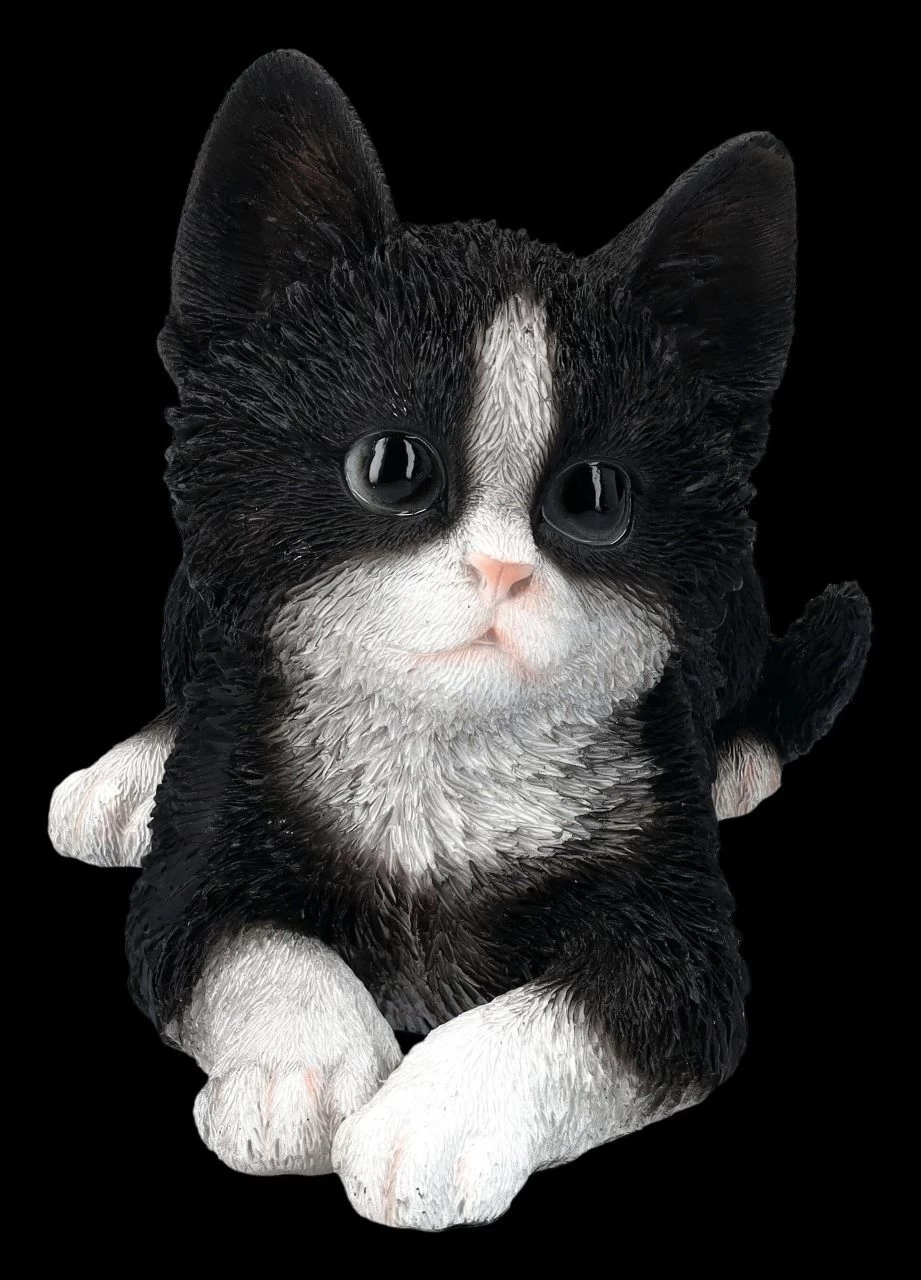 Baby Katze Schwarz-weiß Dekofigur 2 Baby Katze Schwarz-weiß Dekofigur – Bild 2