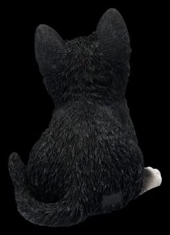Baby Katze Schwarz-weiß Dekofigur 11 Baby Katze Schwarz-weiß Dekofigur -Modell Und Figurengeschäft 2D FS25124 Baby Katze schwarz weiss Dekofigur 4 1280x1280