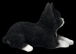 Baby Katze Schwarz-weiß Dekofigur 12 Baby Katze Schwarz-weiß Dekofigur -Modell Und Figurengeschäft 2D FS25124 Baby Katze schwarz weiss Dekofigur 5 1280x1280