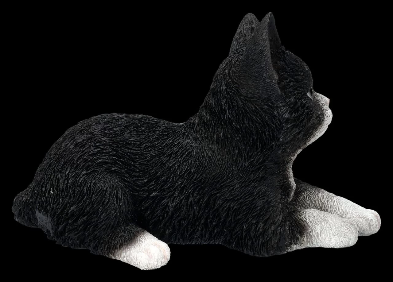 Baby Katze Schwarz-weiß Dekofigur 6 Baby Katze Schwarz-weiß Dekofigur – Bild 6