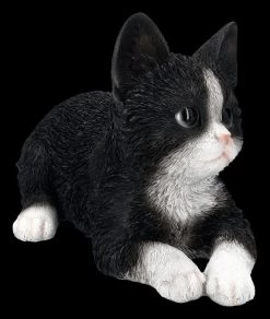Baby Katze Schwarz-weiß Dekofigur 9 Baby Katze Schwarz-weiß Dekofigur -Modell Und Figurengeschäft 2D FS25124 Baby Katze schwarz weiss Dekofigur 6 1280x1280