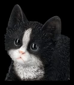 Baby Katze Schwarz-weiß Dekofigur 13 Baby Katze Schwarz-weiß Dekofigur -Modell Und Figurengeschäft 2D FS25124 Baby Katze schwarz weiss Dekofigur 8 1280x1280