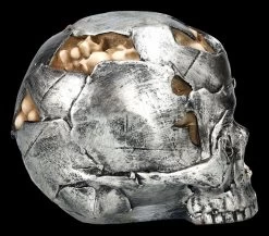 Totenkopf Figur - Fracture Groß 12 Totenkopf Figur - Fracture Groß -Modell Und Figurengeschäft 2D FS25157 Totenkopf Figur Fracture gross 5 1280x1280