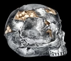 Totenkopf Figur - Fracture Klein -Modell Und Figurengeschäft 2D FS25158 Totenkopf Figur Fracture gross 5 1280x1280