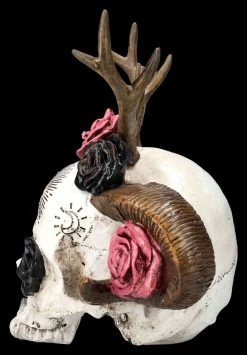 Totenkopf Figur - Wicca Schädel Mit Geweih 11 Totenkopf Figur - Wicca Schädel Mit Geweih -Modell Und Figurengeschäft 2D FS25463 Totenkopf Figur Wicca Sch del mit Geweih 2 1280x1280