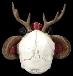 Totenkopf Figur - Wicca Schädel Mit Geweih 12 Totenkopf Figur - Wicca Schädel Mit Geweih -Modell Und Figurengeschäft 2D FS25463 Totenkopf Figur Wicca Sch del mit Geweih 3 1280x1280