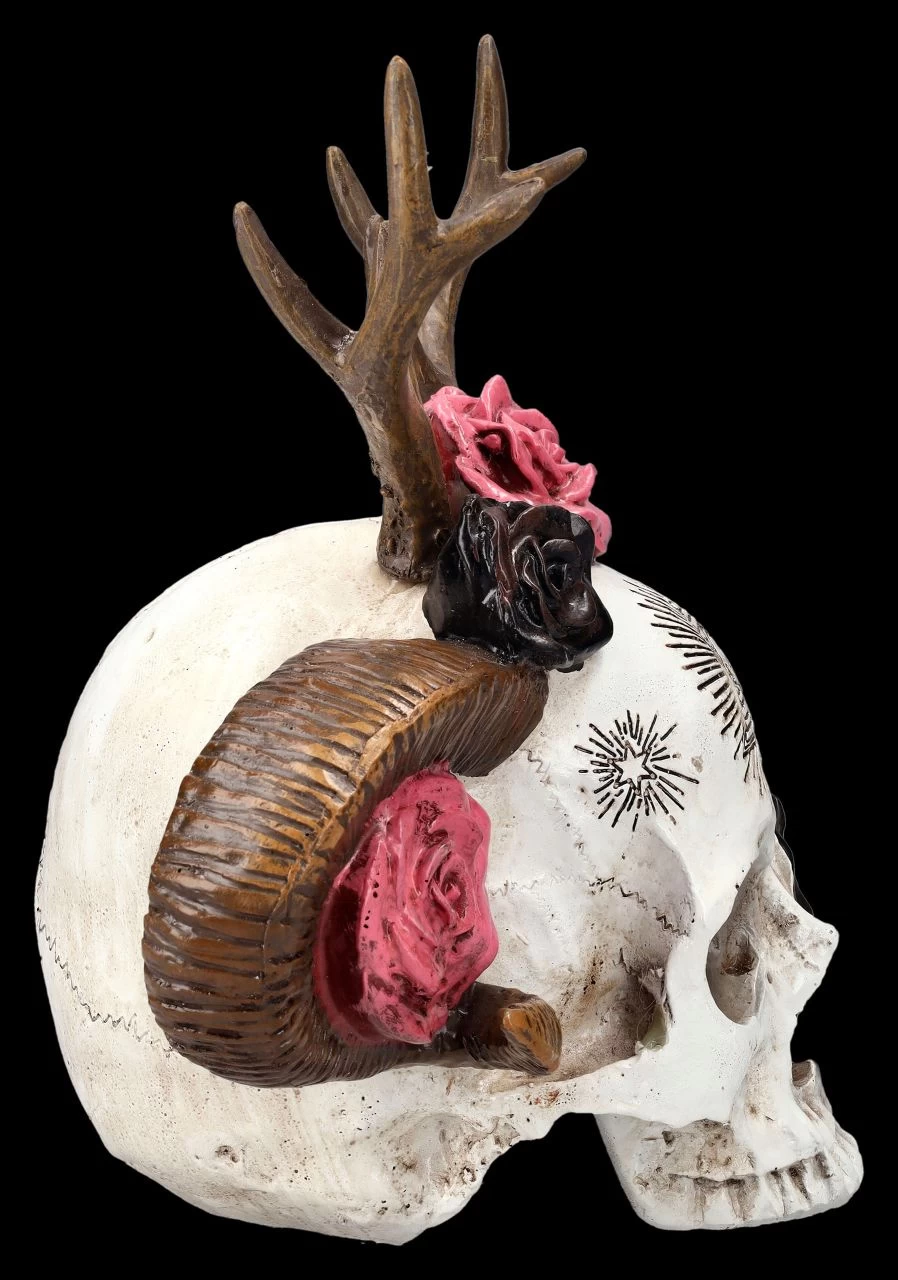 Totenkopf Figur - Wicca Schädel Mit Geweih 6 Totenkopf Figur - Wicca Schädel Mit Geweih – Bild 6