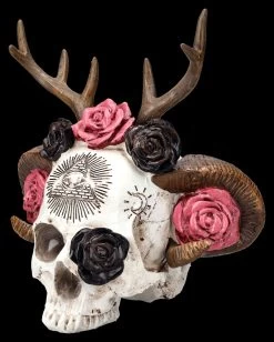 Totenkopf Figur - Wicca Schädel Mit Geweih 10 Totenkopf Figur - Wicca Schädel Mit Geweih -Modell Und Figurengeschäft 2D FS25463 Totenkopf Figur Wicca Sch del mit Geweih 6 1280x1280