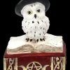 Schatulle - Hexen Eule Auf Buch Rot