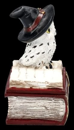 Schatulle - Hexen Eule Auf Buch Rot -Modell Und Figurengeschäft 2D FS25471 Schatulle HexenEule auf Buch rot 5 1280x1280