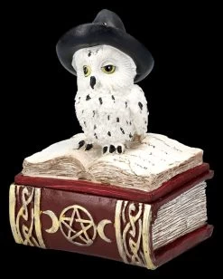 Schatulle - Hexen Eule Auf Buch Rot -Modell Und Figurengeschäft 2D FS25471 Schatulle HexenEule auf Buch rot 7 1280x1280