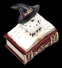 Schatulle - Hexen Eule Auf Buch Rot -Modell Und Figurengeschäft 2D FS25471 Schatulle HexenEule auf Buch rot 9 1280x1280