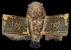 Eulen Figur Braun - Botschafterin Mit Buchflügeln 14 Eulen Figur Braun - Botschafterin Mit Buchflügeln -Modell Und Figurengeschäft 2D FS25623 Eulen Figur braun Botschafter mit Buchfl geln 3 1280x1280