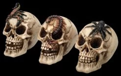 Totenkopf 3er Set - Spinne Skorpion Tausendfüssler -Modell Und Figurengeschäft 2D FS25697 Totenkopf 3er Set Spinne Skorpion Tausendf ssler 2 1280x1280