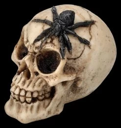 Totenkopf 3er Set - Spinne Skorpion Tausendfüssler -Modell Und Figurengeschäft 2D FS25697 Totenkopf 3er Set Spinne Skorpion Tausendf ssler 5 1280x1280