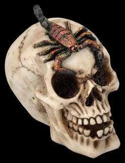 Totenkopf 3er Set - Spinne Skorpion Tausendfüssler -Modell Und Figurengeschäft 2D FS25697 Totenkopf 3er Set Spinne Skorpion Tausendf ssler 6 1280x1280