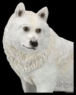 Wolf Figur - Schneewolf Mit Jungen In Der Höhle -Modell Und Figurengeschäft 2D FS25793 Wolf Figur Schneewolf mit Jungen in H hle 2 1280x1280