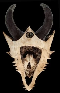 Totenkopf Wanddeko - Fieser Drachen Schädel 14 Totenkopf Wanddeko - Fieser Drachen Schädel -Modell Und Figurengeschäft 2D FS26191 Totenkopf Figur Fieser Drachen Sch del 14 1280x1280