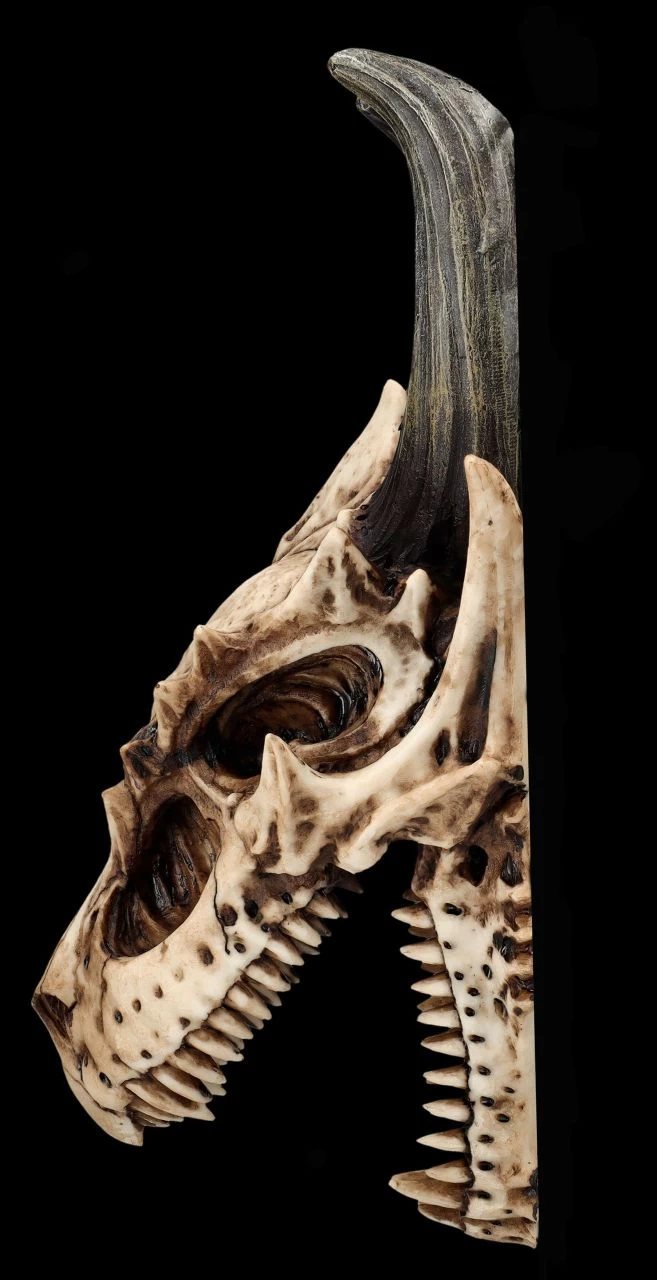 Totenkopf Wanddeko - Fieser Drachen Schädel 6 Totenkopf Wanddeko - Fieser Drachen Schädel – Bild 6