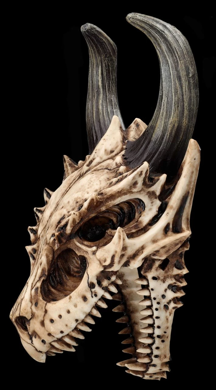 Totenkopf Wanddeko - Fieser Drachen Schädel 3 Totenkopf Wanddeko - Fieser Drachen Schädel – Bild 3
